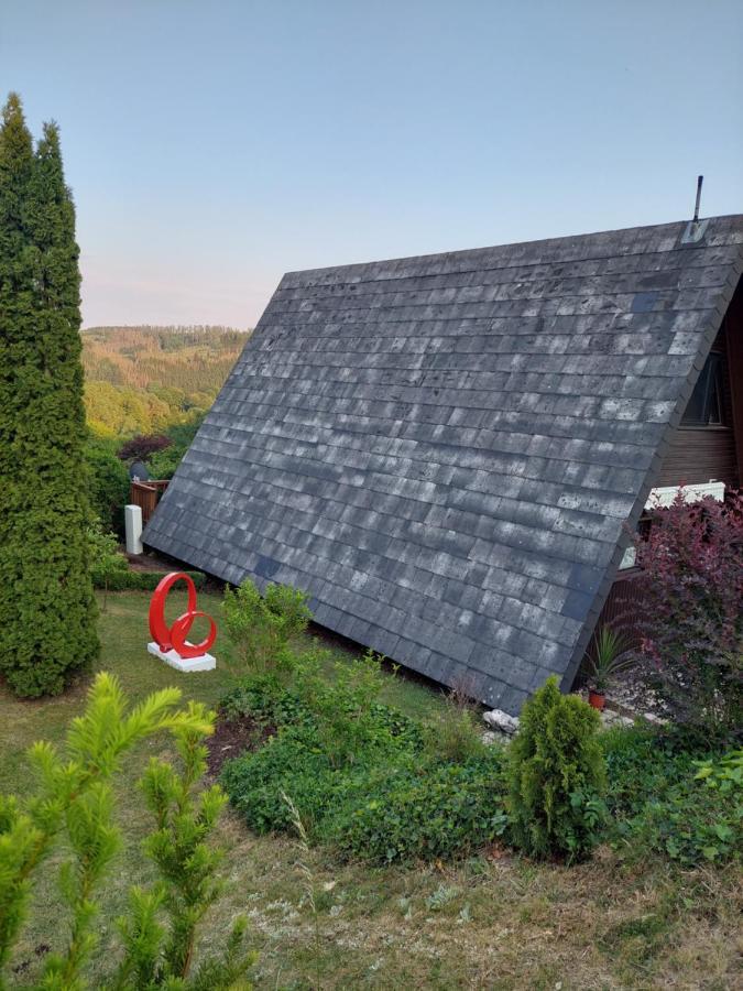 Haus Am See Willingen Willingen  Buitenkant foto