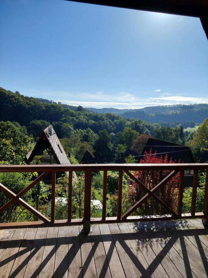 Haus Am See Willingen Willingen  Buitenkant foto