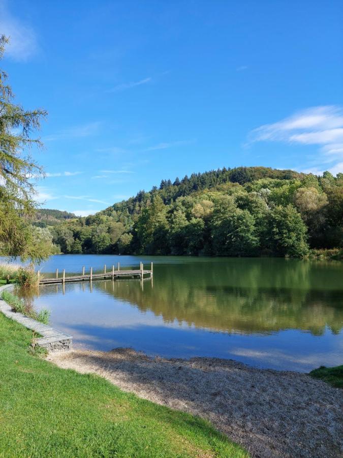 Haus Am See Willingen Willingen  Buitenkant foto