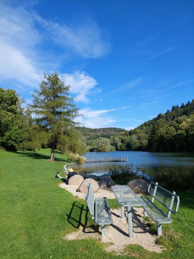 Haus Am See Willingen Willingen  Buitenkant foto