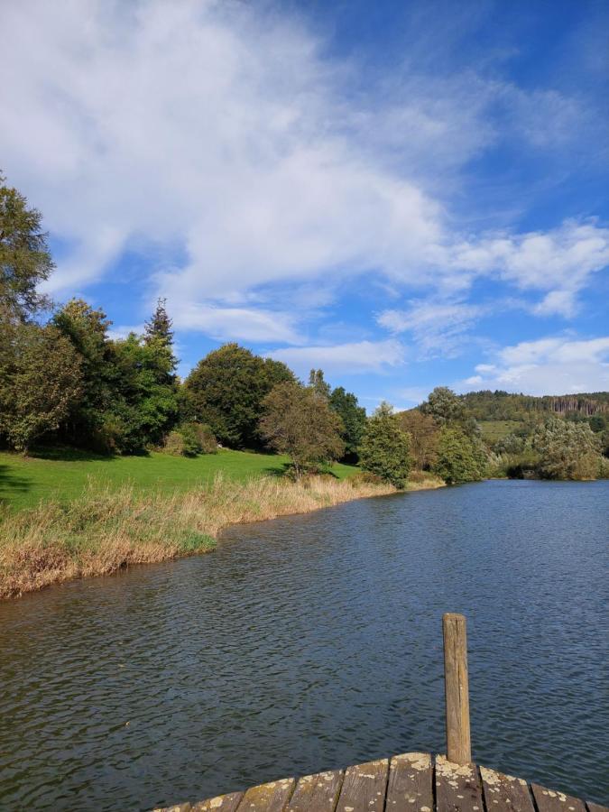 Haus Am See Willingen Willingen  Buitenkant foto